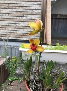 画像5.jpg