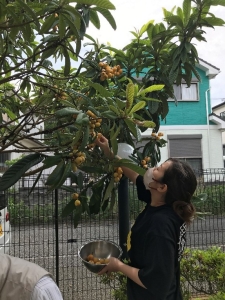 画像8.jpg