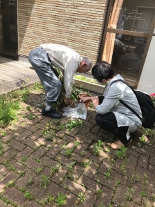 画像.JPG